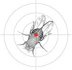 Fliege auf Zielscheibe (Logo)